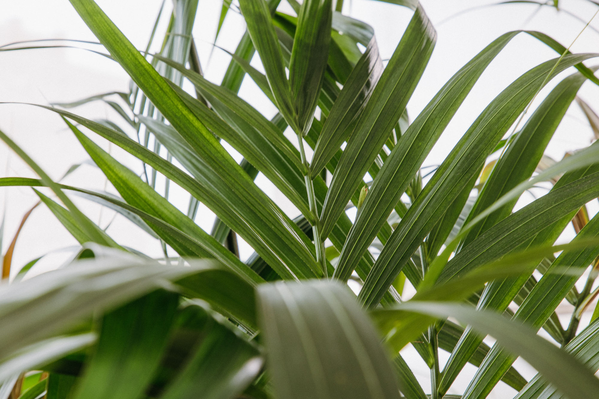 SMM_PSDELESLLETRES_38