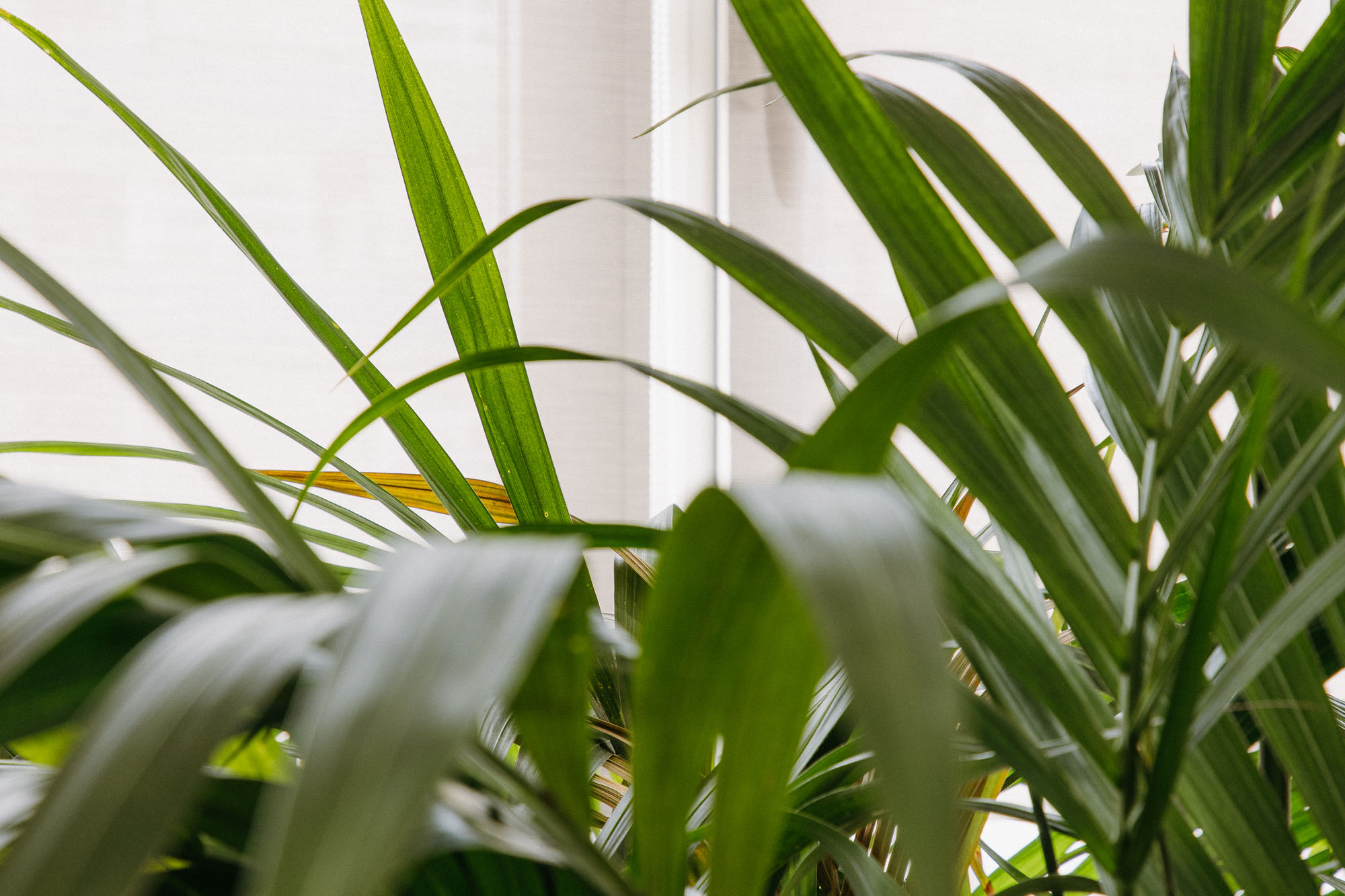 SMM_PSDELESLLETRES_39